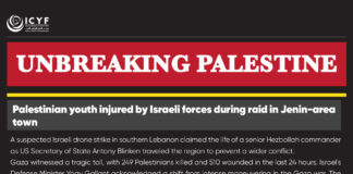 In the US South, pro-Palestinians face crackdown on campus and in streets