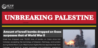 Palestinians back in Gaza’s war-ravaged Jabalia ‘shocked’ by destruction