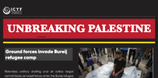 Israel Kills at a rate of 2,000 Palestinians per month in its aggression on Gaza – OIC observatory for Israel’s crimes against the Palestinians