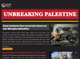 ‘A slow death’: Gazans live alongside rotting rubbish and rodents