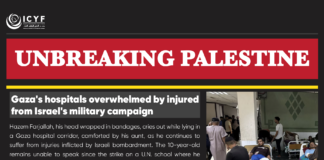 Netanyahu opposed to Israeli military ‘tactical pauses’ for Gaza aid