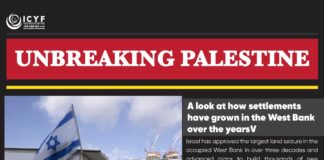 Almost entire population in Gaza now displaced amid fresh Israeli offensive