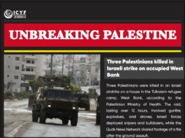 Three Palestinians killed in Israeli strike on occupied West Bank