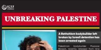 Palestinian footballer Imad Abu Tima killed with his family in Israeli strike on Gaza (MEE)