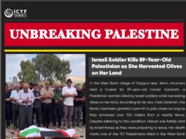 Israeli Soldier Kills 59-Year-Old Palestinian as She Harvested Olives on Her Land (Democracy Now)