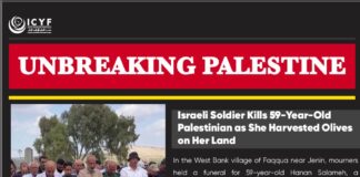 Israeli Soldier Kills 59-Year-Old Palestinian as She Harvested Olives on Her Land (Democracy Now)