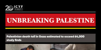 Musicians use bombing of Gaza as concert backdrop (MEM)