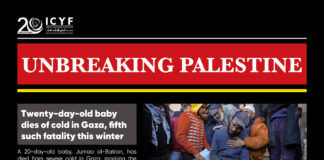 Israel kills five journalists in clearly marked press vehicle in Gaza (MEE)