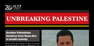 Jewish settler mob abducts and assaults Palestinian in occupied West Bank (MEM)