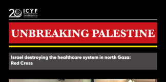 Israel destroying the healthcare system in north Gaza: Red Cross (MEM)