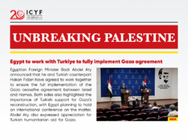 Egypt to work with Turkiye to fully implement Gaza agreement (MEM)