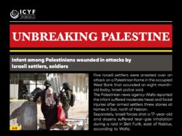 Israel uproots 8,000 trees in West Bank in one week, causing $7m in losses