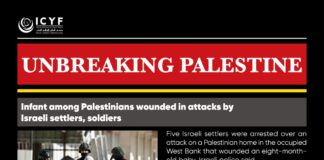 Israel uproots 8,000 trees in West Bank in one week, causing $7m in losses