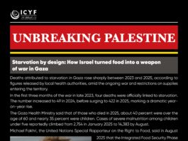 Starvation by design: How Israel turned food into a weapon of war in Gaza