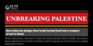 Starvation by design: How Israel turned food into a weapon of war in Gaza