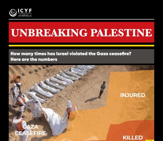 How many times has Israel violated the Gaza ceasefire? Here are the numbers