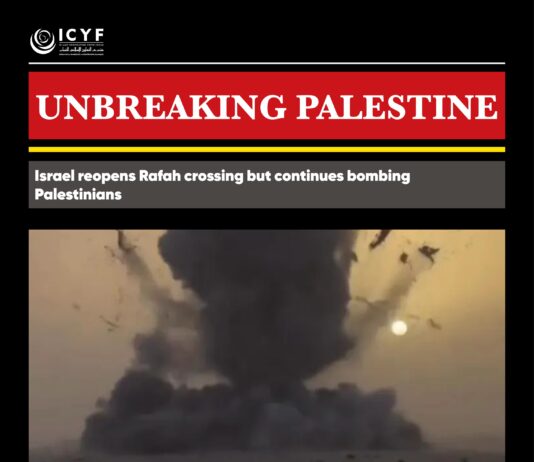 Israel reopens Rafah crossing but continues bombing Palestinians