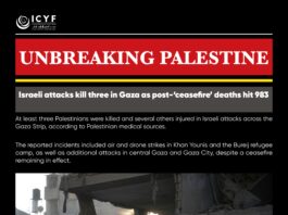 Israeli attacks kill three in Gaza as post-‘ceasefire’ deaths hit 983