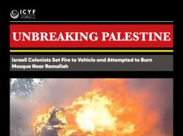 Israeli Colonists Set Fire to Vehicle and Attempted to Burn Mosque Near Ramallah