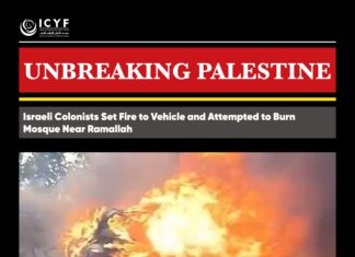 Israeli Colonists Set Fire to Vehicle and Attempted to Burn Mosque Near Ramallah