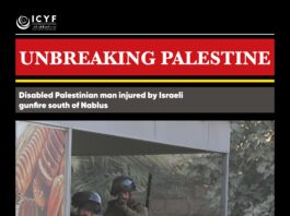 Disabled Palestinian man injured by Israeli gunfire south of Nablus