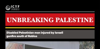 Disabled Palestinian man injured by Israeli gunfire south of Nablus